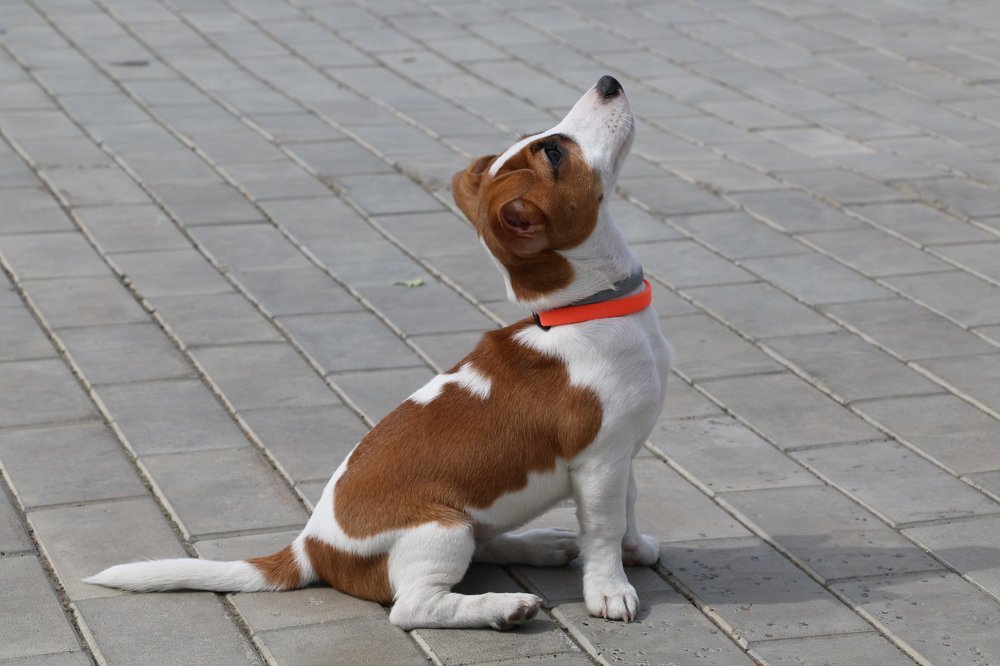 Photograph by Сергей Яковлев