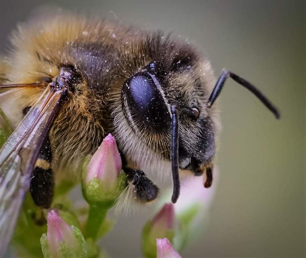 Photograph by Karina Elena Bergagna