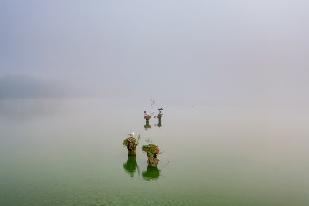 Photograph by Сергей Морозов