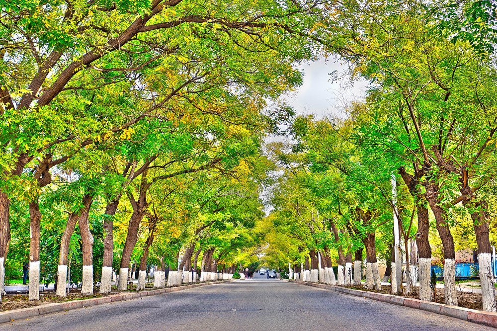 Photograph by Elshan Taghiyev