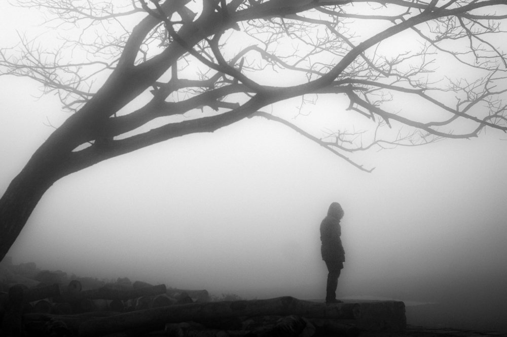 Photograph by Ehsanul Siddiq Aranya