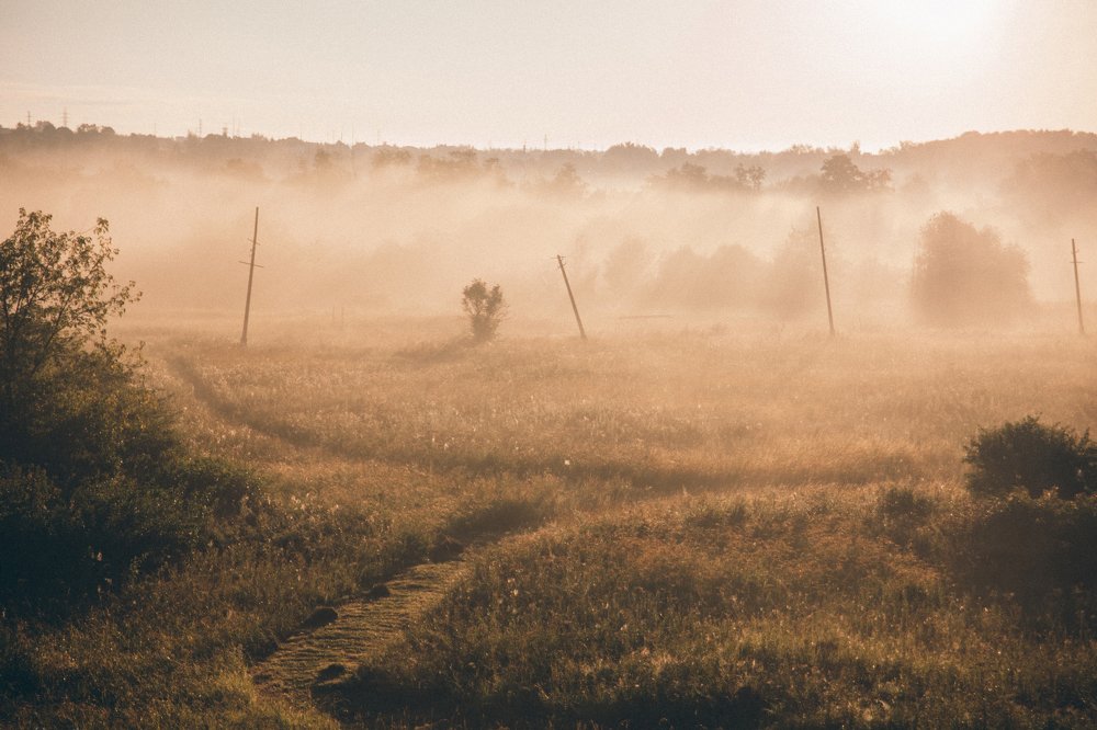 Photograph by Дмитрий Гавриков