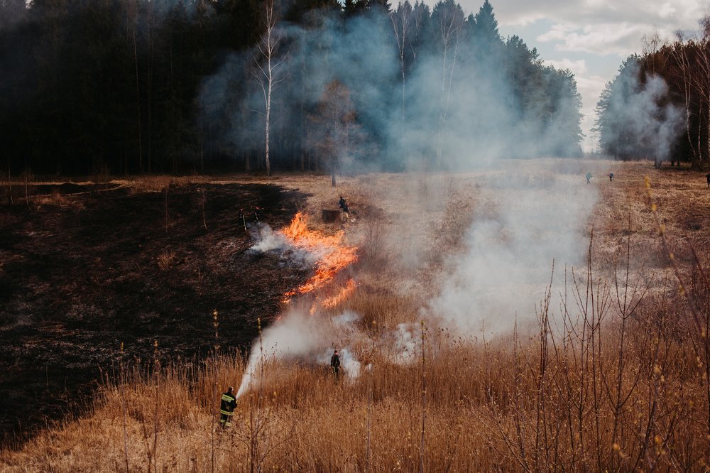 Photograph by Дмитрий Гавриков