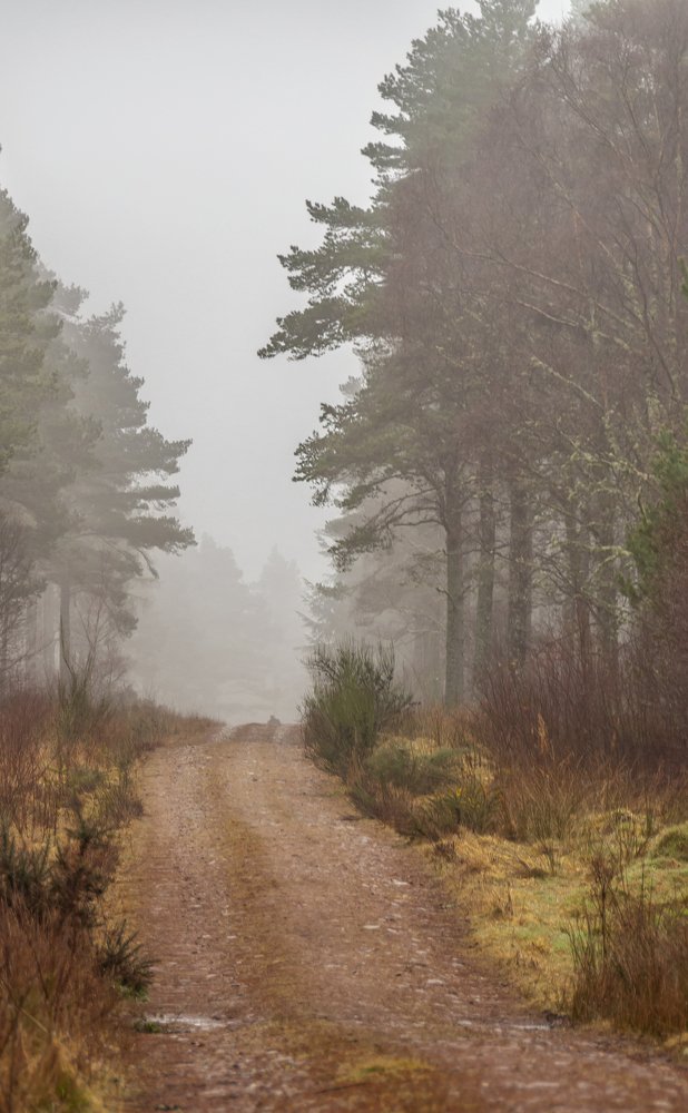 Photograph by Валерий Минухин