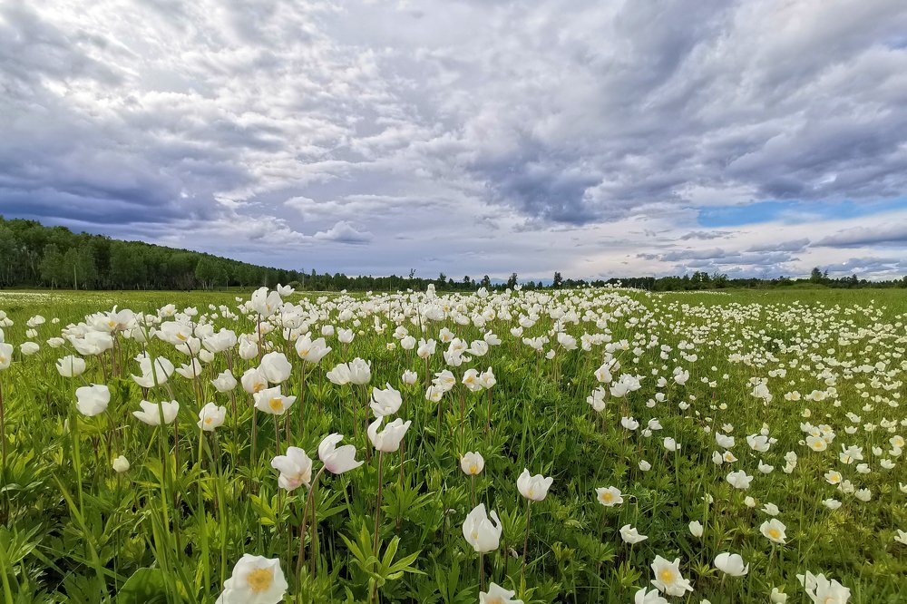 Photograph by Дмитрий Долгих