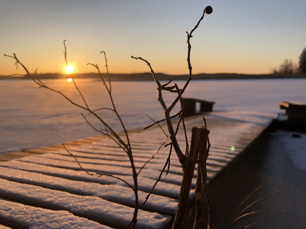 Photograph by Marina