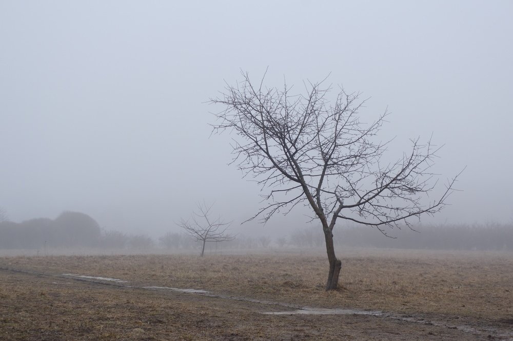 мартовское утро