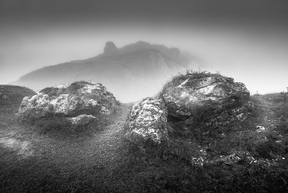 Фотография автора Светлана Морозова