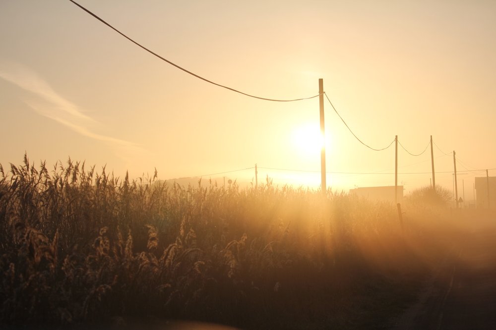 Photograph by Ksenia Bulygina