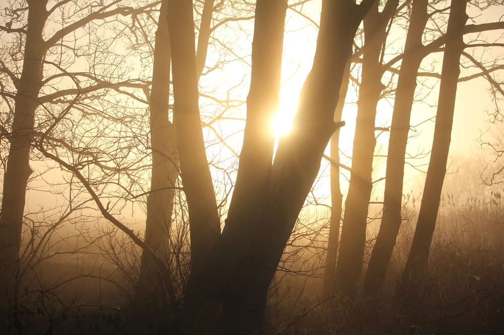 Photograph by Ksenia Bulygina