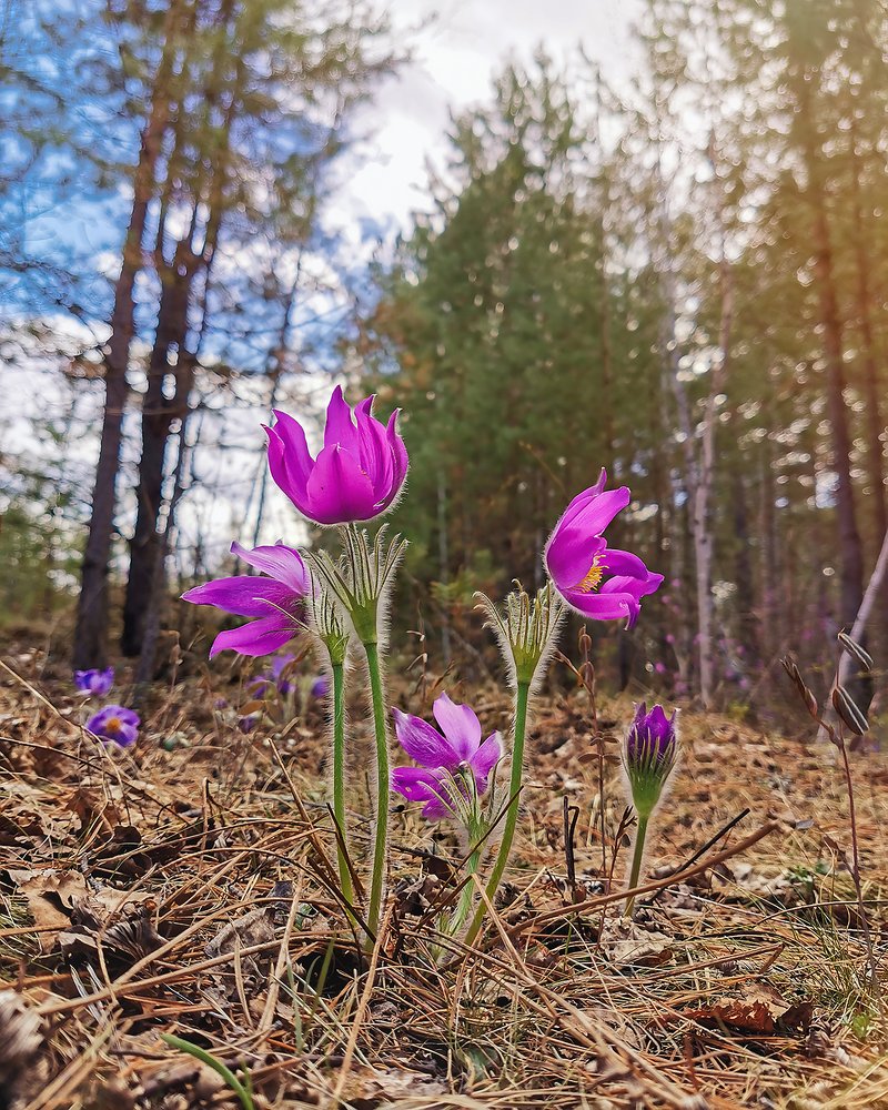 Photograph by Дмитрий Долгих
