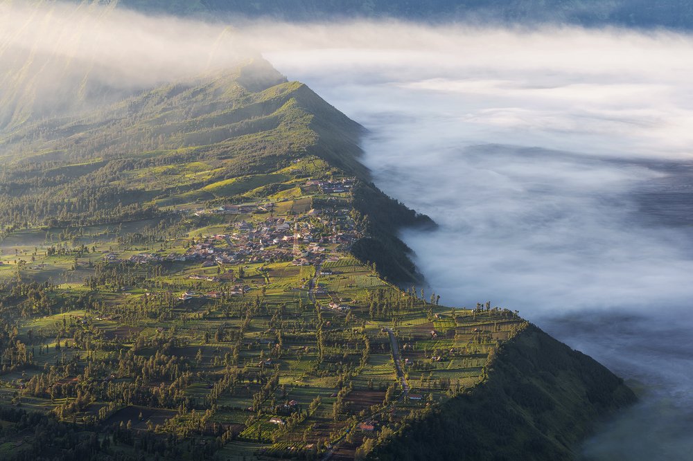 Photograph by Ng Max