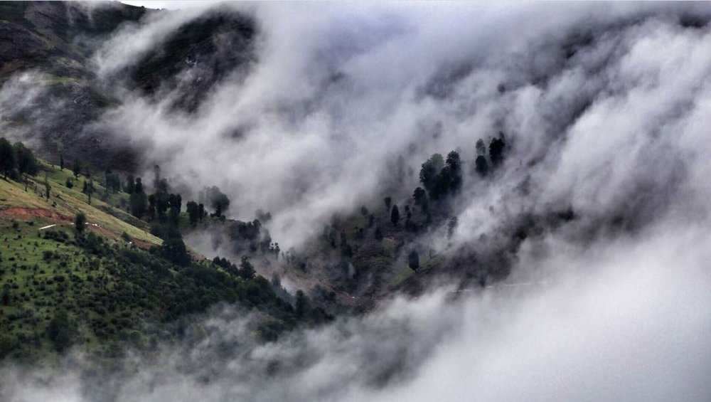 Photograph by Nima Massali