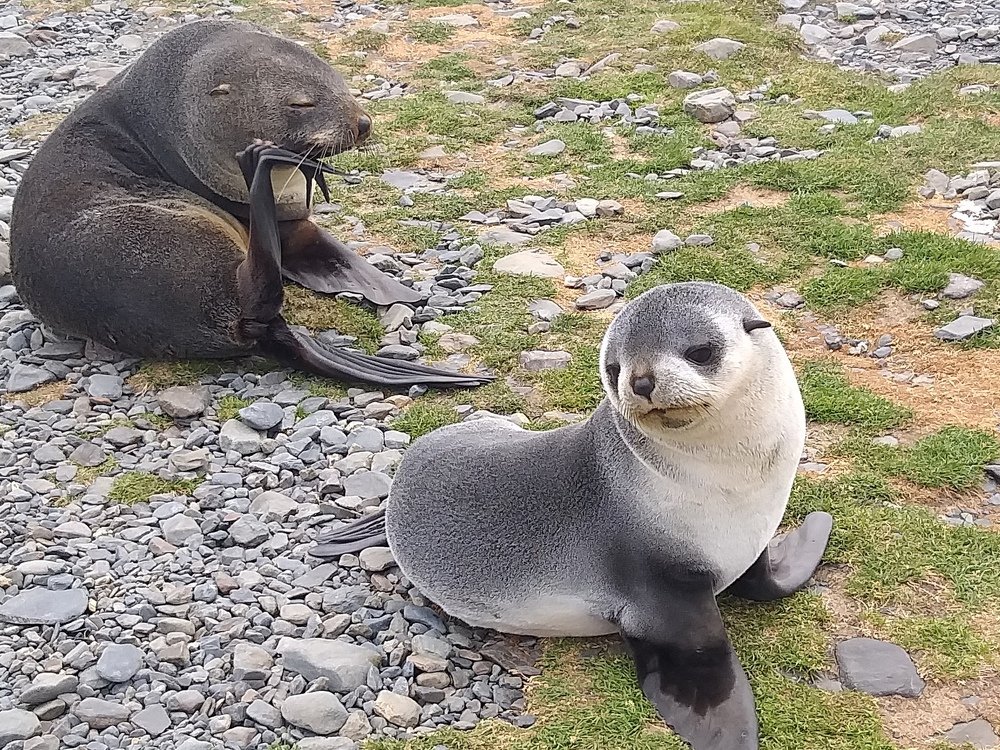 Photo #4645893