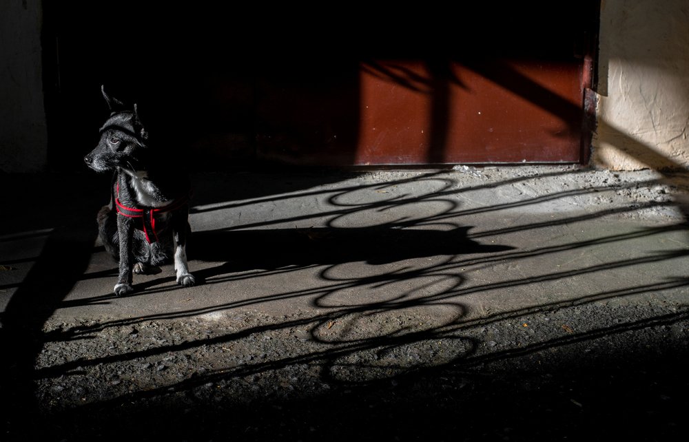 Photograph by Rusudan Khubutiya