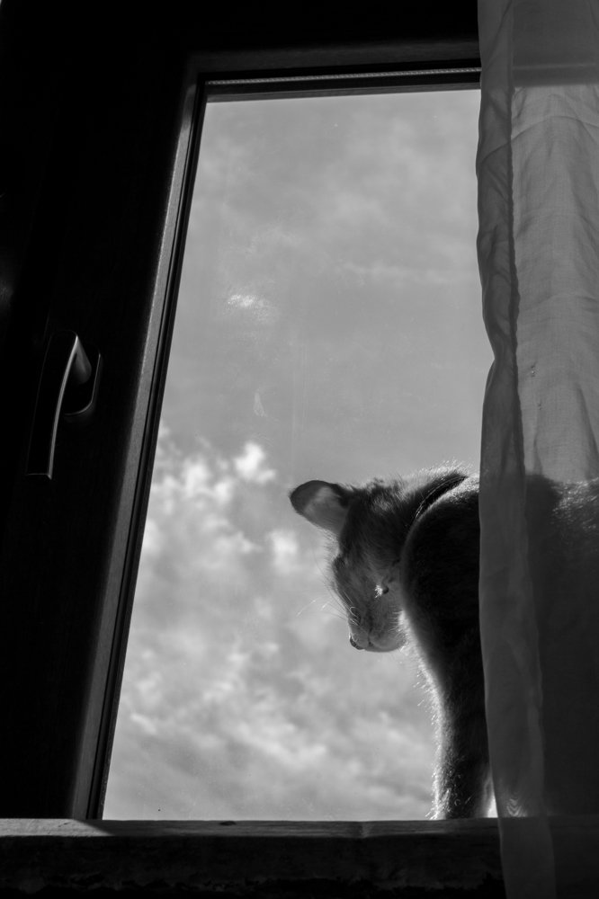 Photograph by Rusudan Khubutiya