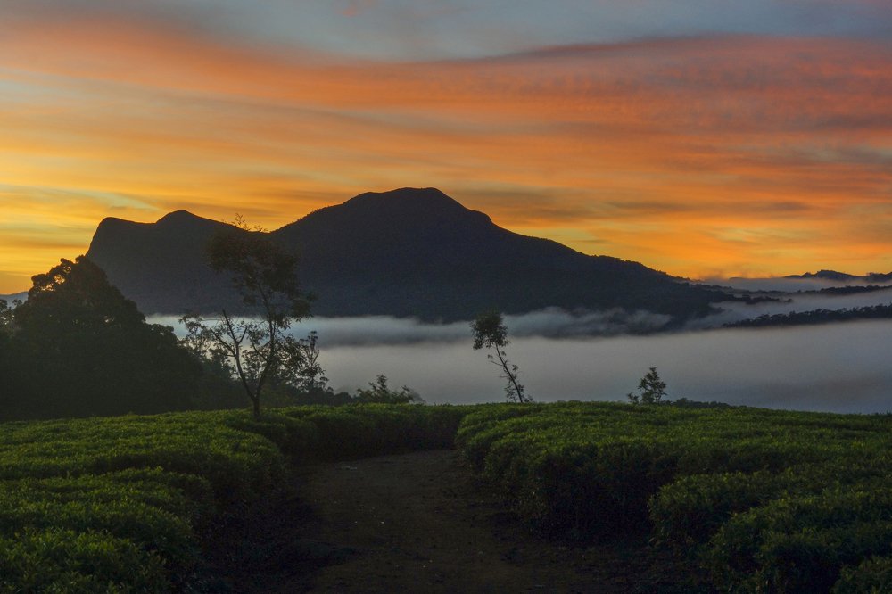Photograph by Оксана Туркина