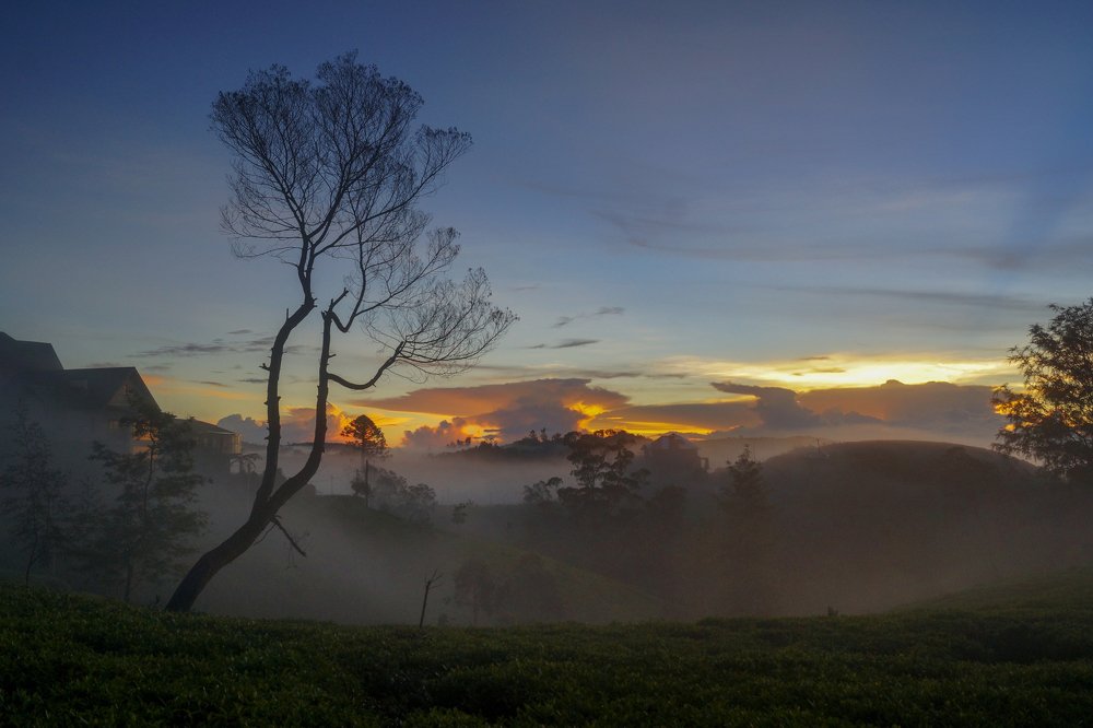 Photograph by Оксана Туркина