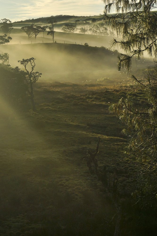 Photograph by Оксана Туркина