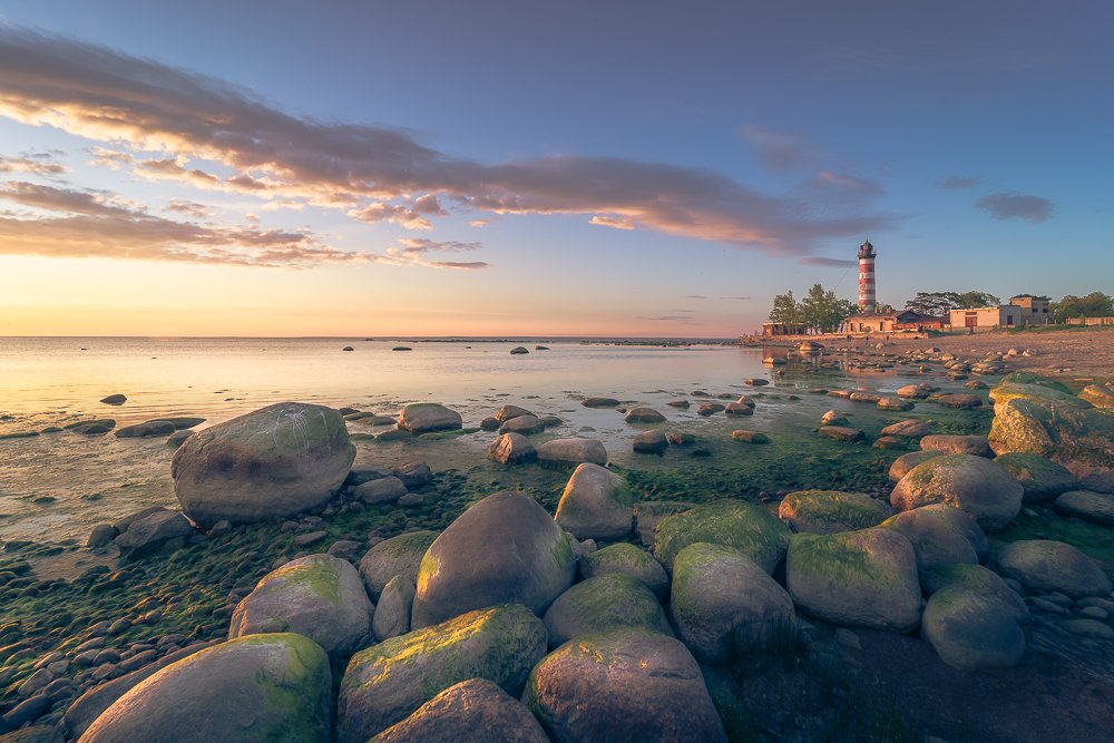 Фотография автора Светлана Морозова