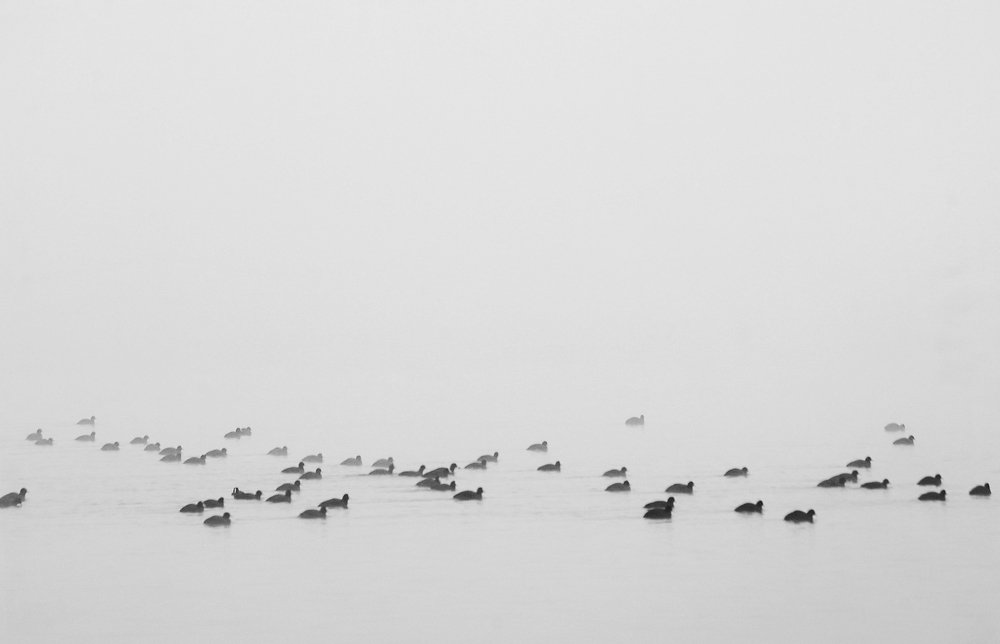 Photograph by Alba Zoe Gržin