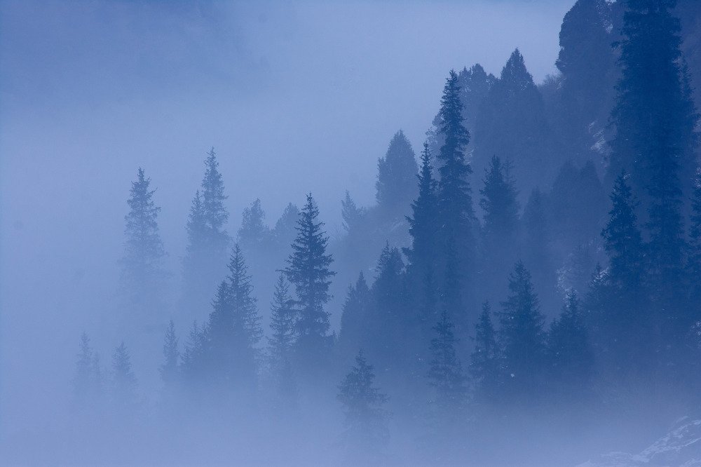 Photograph by Василий Шумкин