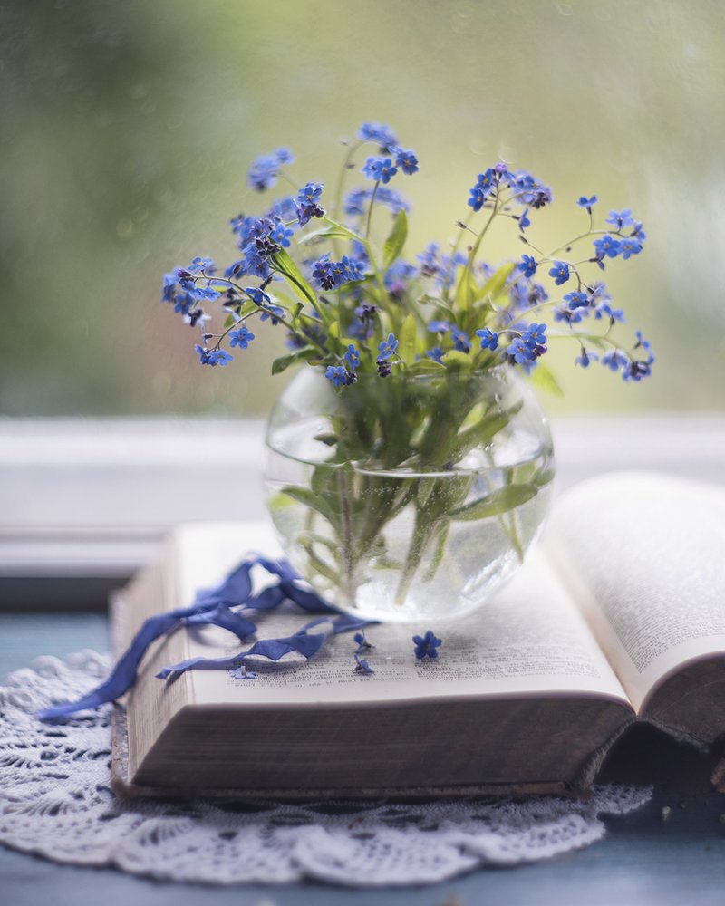 Photograph by Ксения Орлова