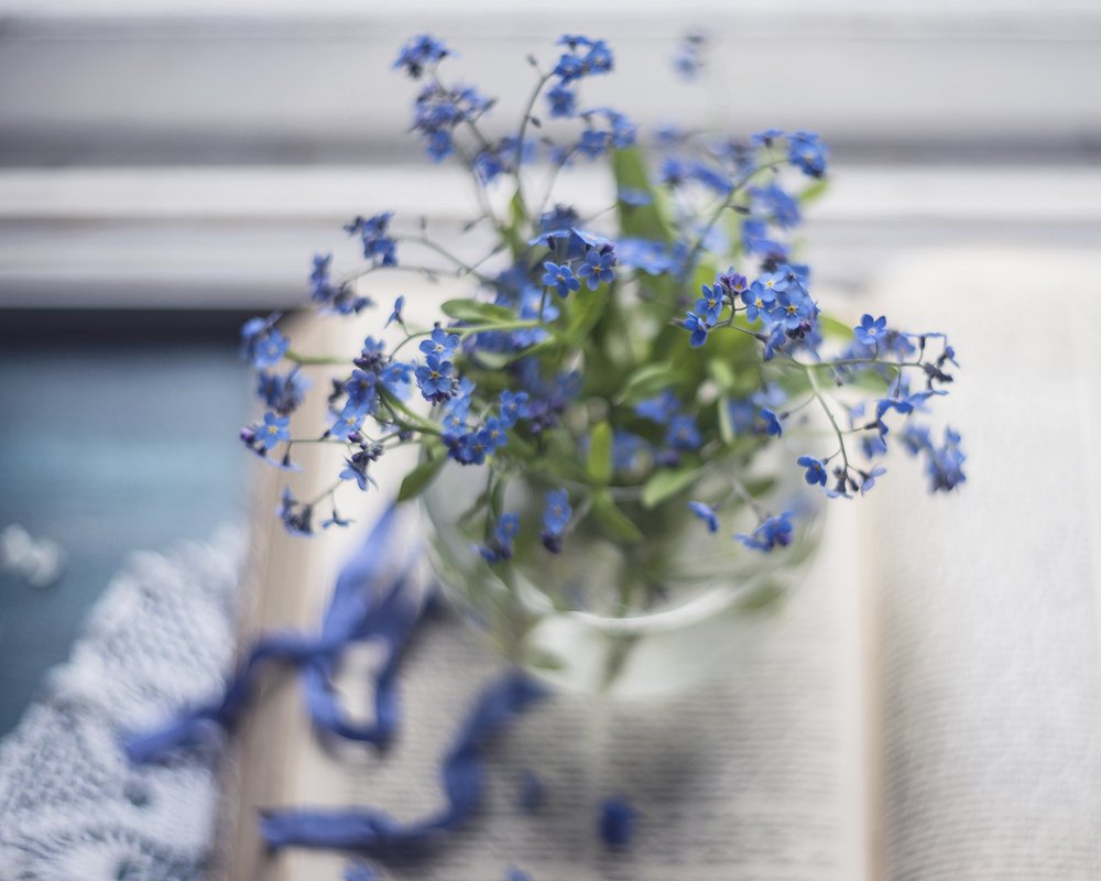 Photograph by Ксения Орлова