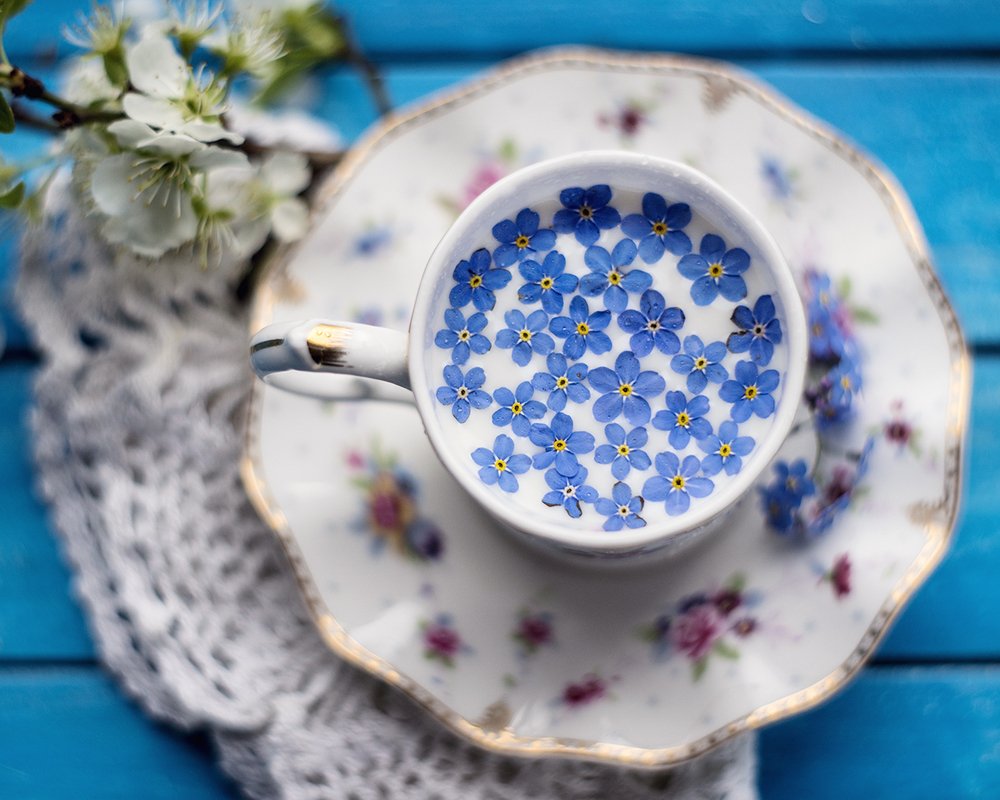 Photograph by Ксения Орлова