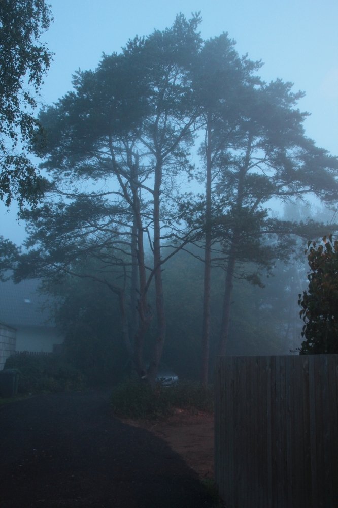 Photograph by БЕРТЕЛЬС ВАСИЛИЙ