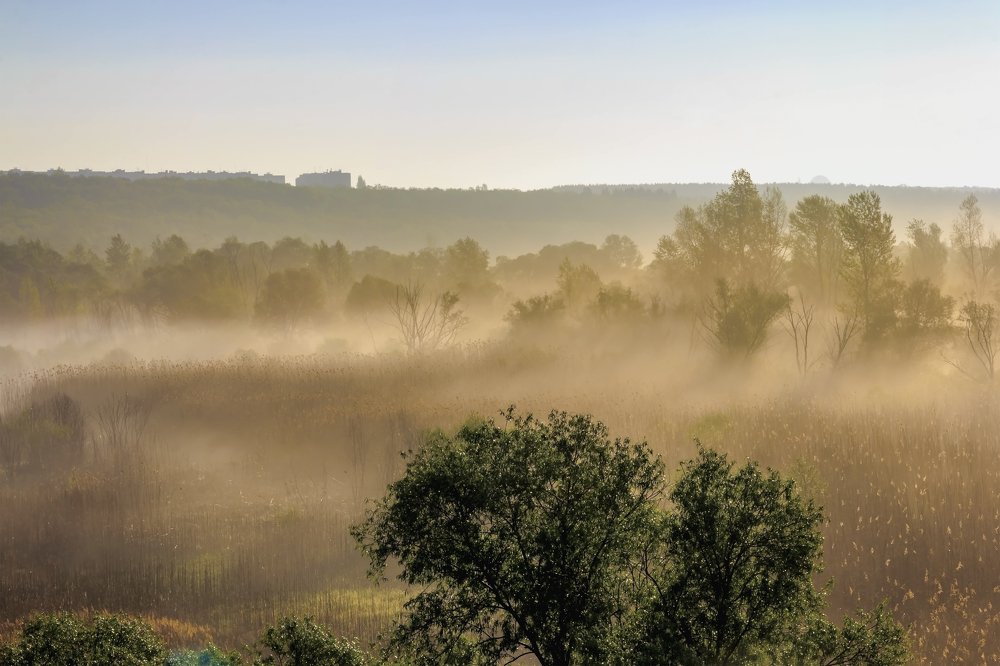 В утреннем тумане
