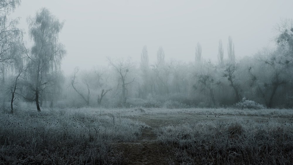 Фотография автора Ведь Денис