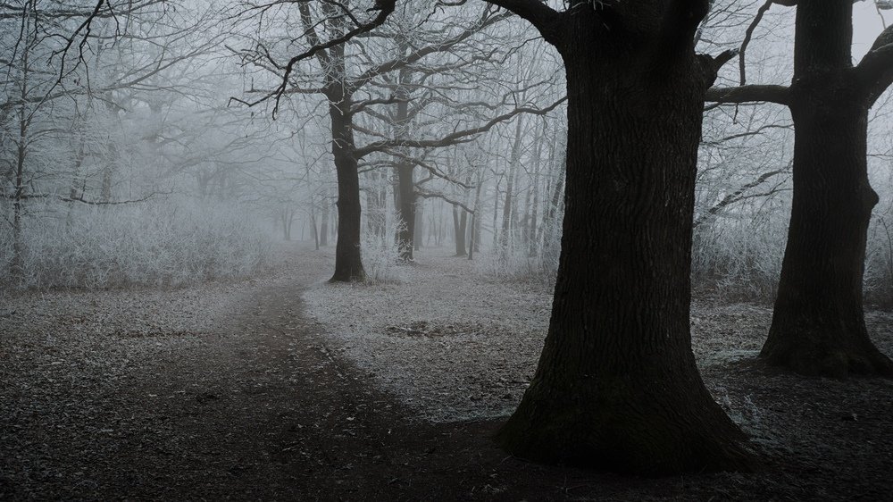 Фотография автора Ведь Денис