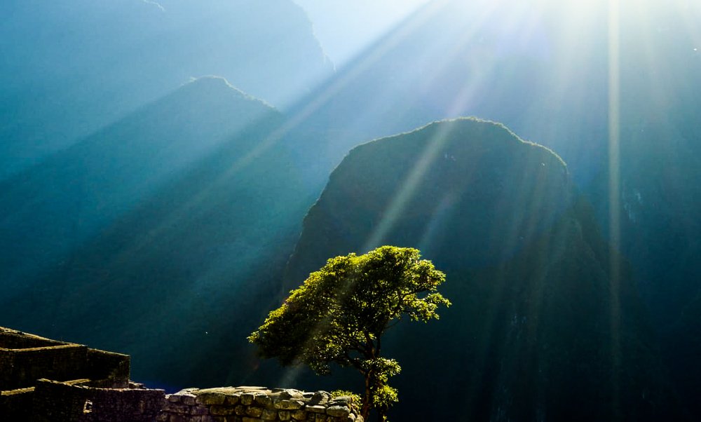 Photograph by Lau Vazquez