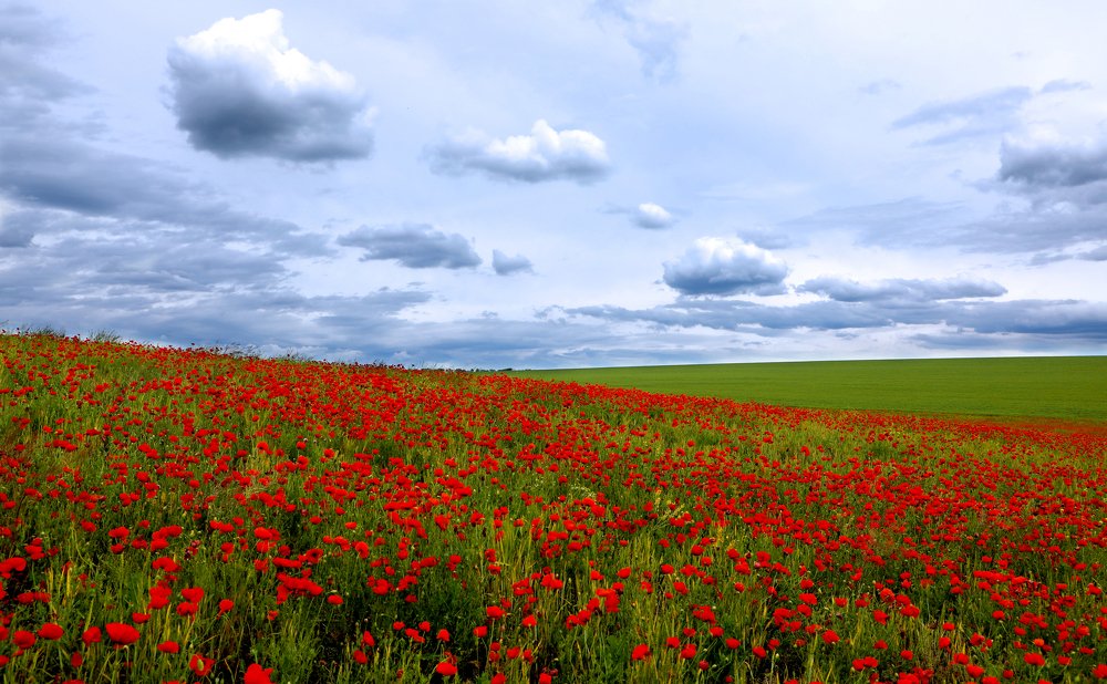 Photograph by Валерия Маркова
