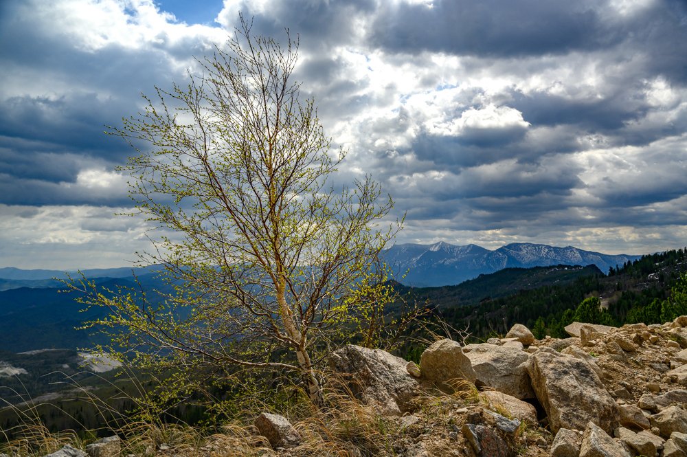 Photograph by Наталья Лобкова