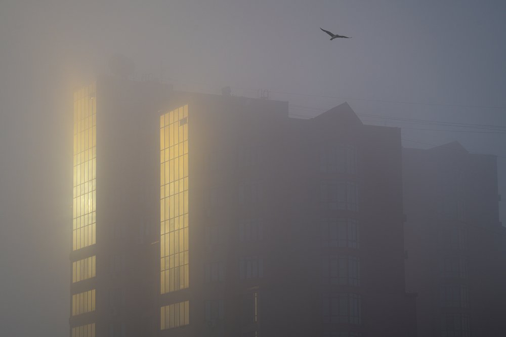 Очертания городского рассвета
