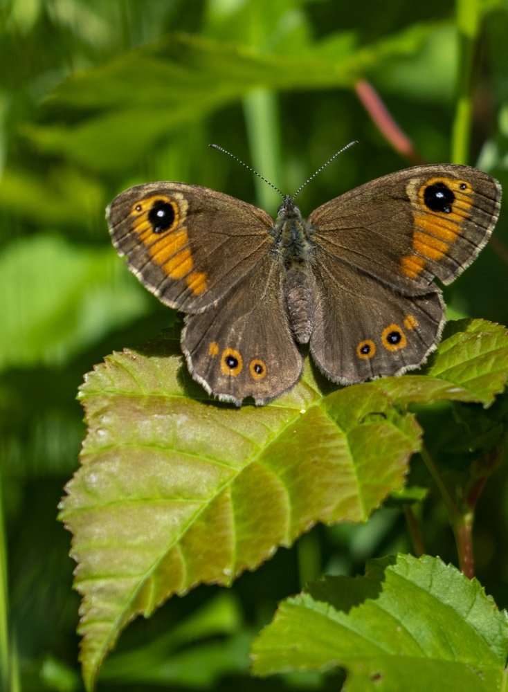 Photograph by Марина Голик