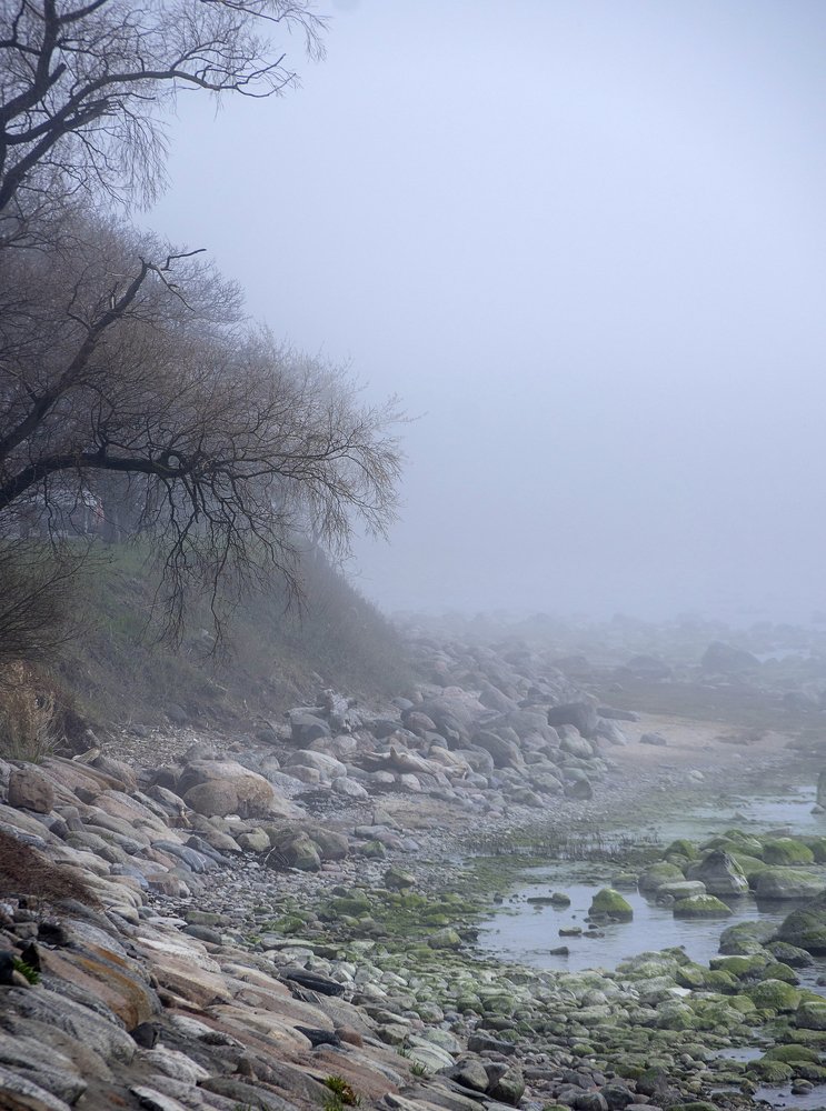 Photograph by Nadezda Sarap