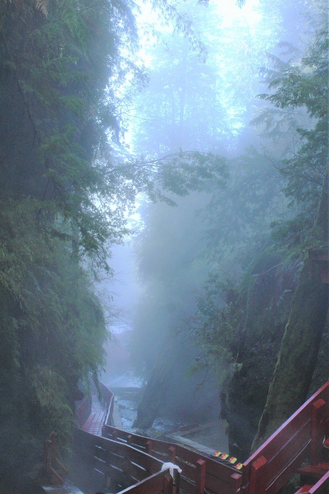 Фотография автора OSMIR ZANETTE