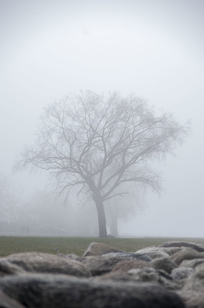 Photograph by Nadezda Sarap