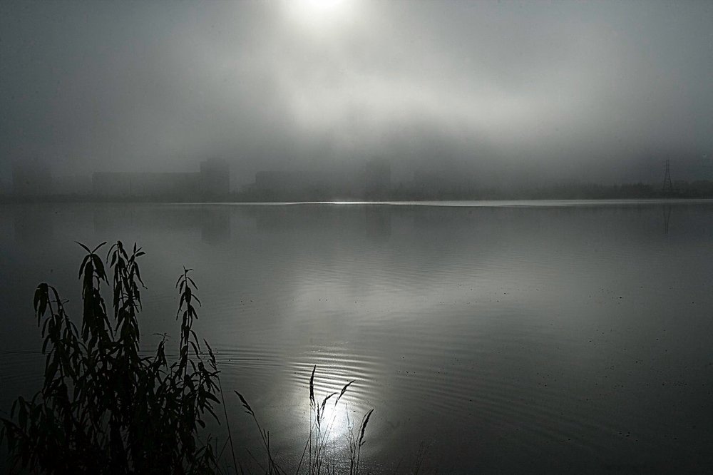 Туман в городе.