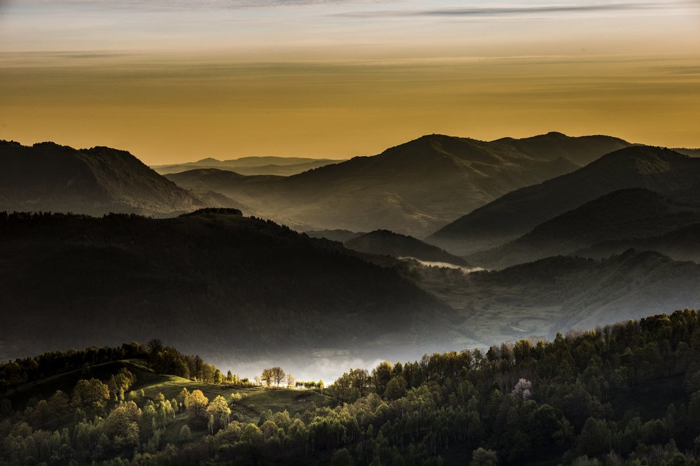 Photograph by vladau vlad-viorel