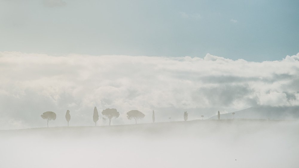 Photograph by Алексей Котлов