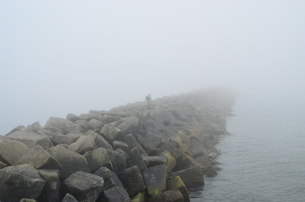 Photograph by Galina Baranovskaja