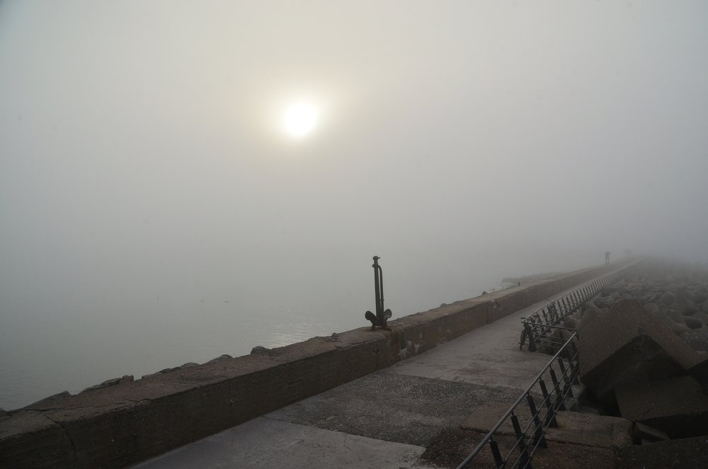 Photograph by Galina Baranovskaja