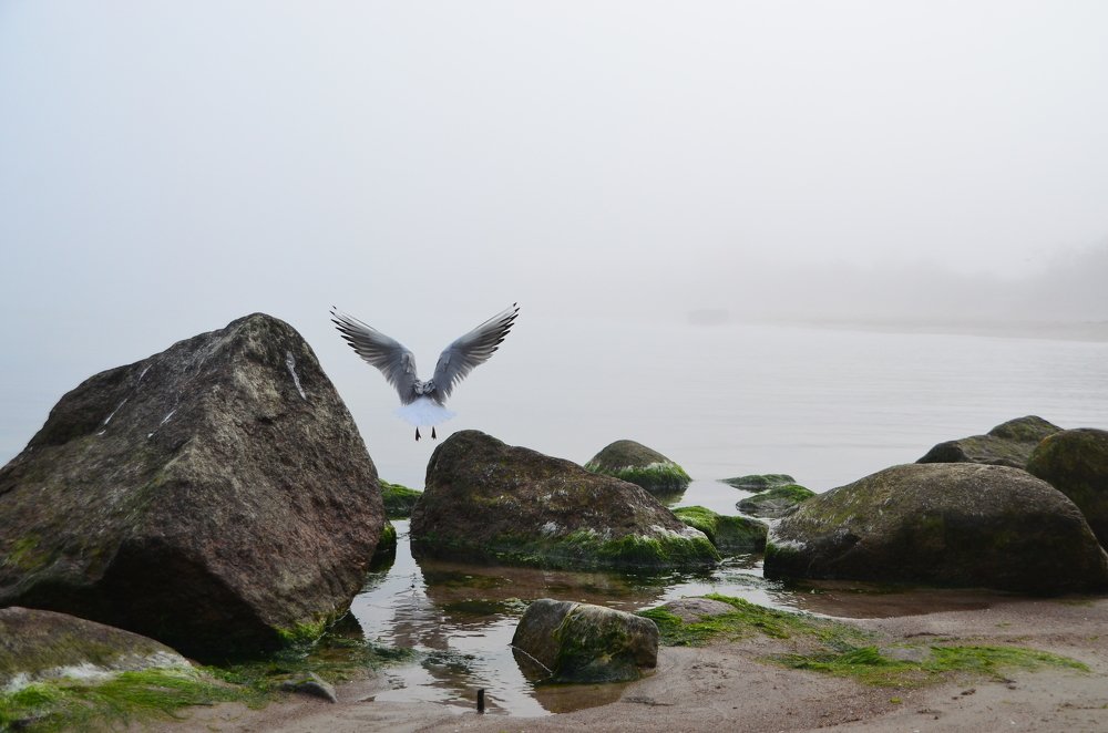 Photograph by Galina Baranovskaja