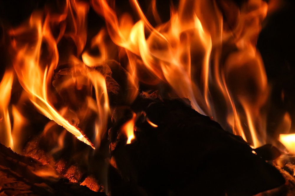 Фотография автора Анастасия Пищулова