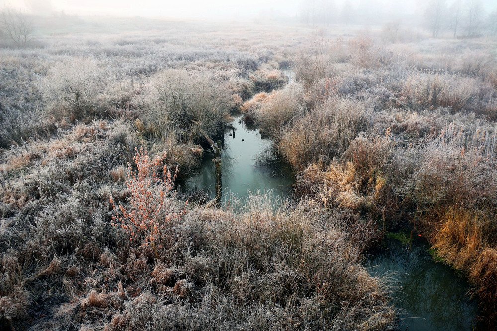 Фотография автора Анастасия Пищулова