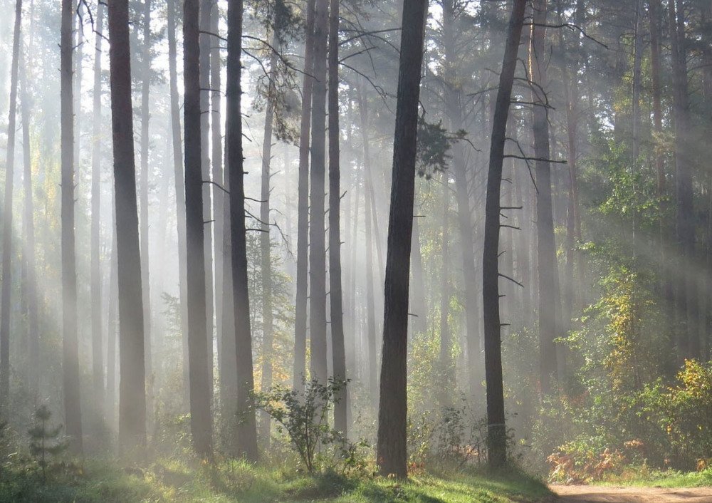 Photograph by Наталия Васильева